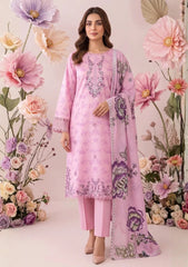 Winter - Humdum - Laiba 26 - D#05