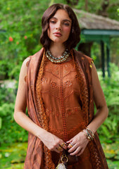 Winter - Marjjan - Bella 25 - Embroidered Karandi - MWK#37 A - RUST