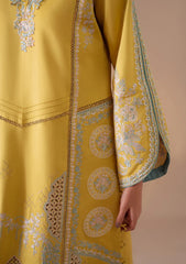 Winter - Aabyaan - Miraal - Signature Viscose 25 - AV#02 - MEHRA