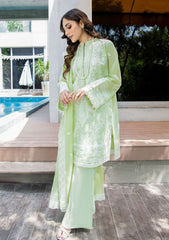 Lawn Collection - Aik Atelier - V02 - D#2B