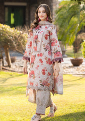 Lawn - Alizeh - Sheen Prints 25 - AF-PL-6027 - Sian