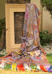 Pure Pashmina Handmade Shawl D - 006