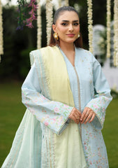 Winter - Rang Rasiya - Luxe Silk 25 - RRLS#07 - Feryal