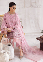 Winter Collection - Nureh - Exclusive - Karandi - NE#43