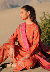 Winter Collection - M.Basics - Mirage - MBM#05B