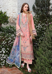 Lawn - Esmel - Belle Saison 26 - EUNSS#205 - Zelle