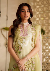 Lawn - Asifa & Nabeel - Versa Luxury 26 - VUL#03 - Heirloom