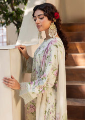 Winter - Humdum - Zaiba - Karandi 25 - D#08