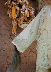 Lawn - Zaha - Meili Festive 26 - ZL#14B - TÁO RÓU
