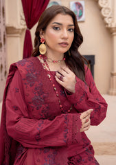 Winter - Riaz Arts - Zauq 25 - D#01