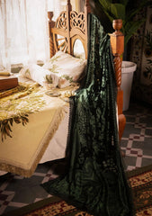 Winter Collection - Nureh - Exclusive - Peach Leather - NE23#67