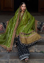 Lawn - Hussain Rehar - Luxury Lawn 25 - Abass