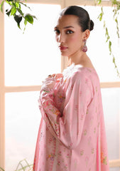 Pret - Rajbari - Silah - Silk Edit 25 - D#01