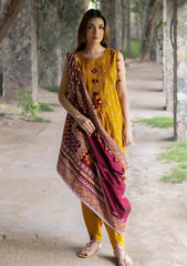 Winter - Gul Ahmed - Unstitched Khaddar 25 - K-52050