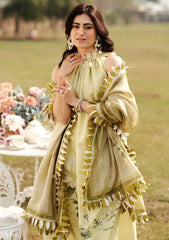 Lawn Collection - Zarqash - Luxe Lawn - ZL24#13