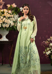 Formal Collection - Al Zohaib - Chiffon Unstitched - D#05