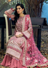 Formal Collection - Adan's Libas - Sang-E-Rah - D#05