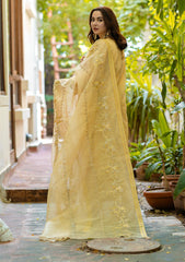 Formal Collection - Ayesha & Usman - Azzal - Noor - D#5 - Nureh