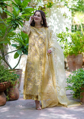 Formal Collection - Ayesha & Usman - Azzal - Noor - D#5 - Nureh