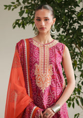 Lawn - Bin Ilyas - Jojo Summer 26 - D#87-A