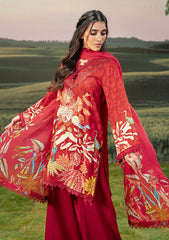 Winter - M.Basics - Unstitched Casual - Pre/Fall 25 - MBPF#05 B