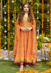 Pret Collection - Rubaaiyat - Semi Formals - Chiffon - RP#03