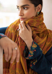 Winter Collection - Rajbari - Premium - RBPW24#2A