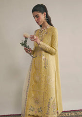 Lawn - Qalamkar - Qlinekari 25 - DC#09 - Enya