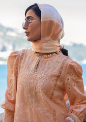 Lawn - Ansab Jahangir - Zoha - Luxury 25 - AJ-LL-25-09 - Alluring Apricot
