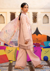 Lawn - Florent - Basant ChikenKari 26 - FBC#04A