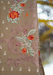 Pashmina Emboridered Shawl D - 127 - G Brown