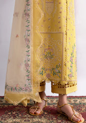 Lawn - Qalamkar - Qlinekari 25 - DC#09 - Enya