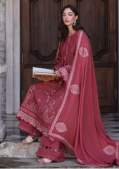 Winter - Noor by Saadia Asad - Pashmina Shawl 25 - NSP#08 - Sienna