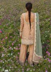 Formals - Hussain Rehar - The Doll House Festive Unstitched 26 - Gohar Ara