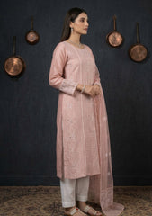 Formals - Riwaj - Fancy 26 - Ari & Mukesh Work - 2 Pcs - D#01 - Pink