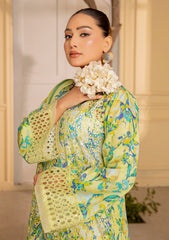 Lawn - Meemsey - Rang Kari - Luxury Festive 25 - MRL#09