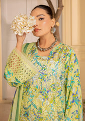 Lawn - Meemsey - Rang Kari - Luxury Festive 25 - MRL#09