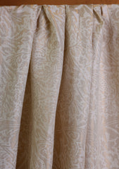 Pashmina Zari Jamawar Shawl D#06 - Off White