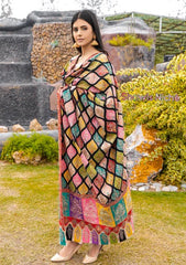 Pure Pashmina Handmade Shawl D - 0033