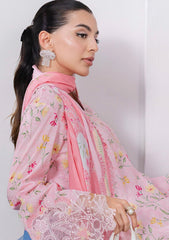 Lawn - Qalamkar - Q Prints 25 - Vol II - QLM#04-A