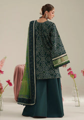 Lawn - Bin Ilyas - Jojo Summer 26 - D#87-B