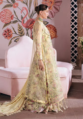 Winter - Mahnur - Amelia - Luxury 26 - AM#14