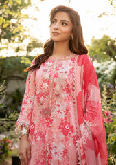 Lawn - M.basics - Eid II - Unstitched 25 - 10B