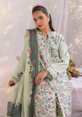 Lawn - Rubaaiyat - Muse Era - Luxury Lawn 25 - RM#08