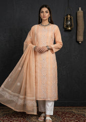 Formals - Riwaj - Fancy 26 - Ari & Mukesh Work - 2 Pcs - D#01 - Peach
