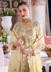 Winter - Mahnur - Amelia - Luxury 26 - AM#14