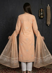 Formals - Riwaj - Fancy 26 - Ari & Mukesh Work - 2 Pcs - D#01 - Peach