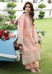 Lawn - Rang Rasiya - Florence - Luxury Festive Edit 26 - RRV6SFD#14 - Laleh
