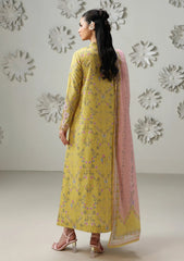 Lawn - Qalamkar - Q Prints Drop II 26 - QQP#03 B - AREEJ