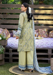 Lawn - Elaf Premium - Chikankari Prints 26 - ERC-8B - MENAH